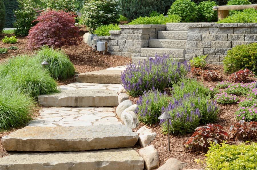 Beautiful landscaped yard and stone path