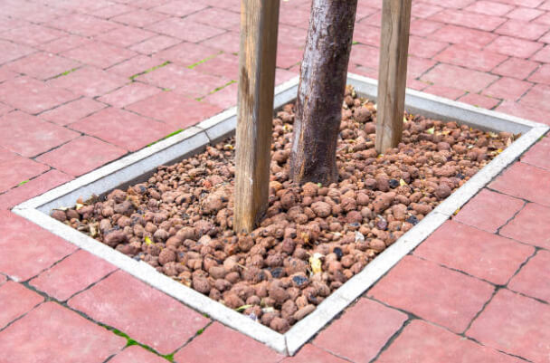 Stone aggregates around a tree