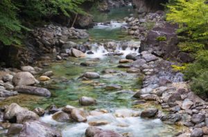 Natural stream river with river stones