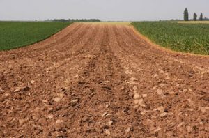 Dirt column on large field