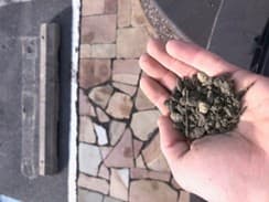 Premium topsoil in hand near stone surface